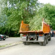 Вывоз деревьев и веток в Ростове-на-Дону